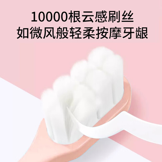 OWI adult soft-bristle toothbrush with ten thousand hairs and small head for couples, pregnant women and postpartum women and men, ultra-soft family portable set