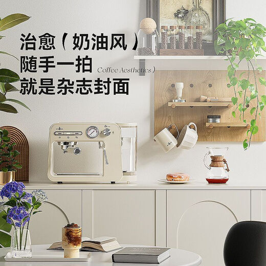Stelang ST-693b Italienische Kaffeemaschine All-in-One-Heimstand kleiner halbautomatischer Dampfmilchschaum Reis Weiß