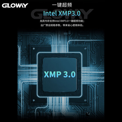 Gloway 32GB (16GBX2) DDR5 6000 Desktop Memory Longwu Vest Strip Samsung Granule CL38 Starry Sky Black