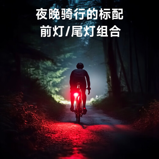 LEM自行车灯前灯强光超亮夜骑尾灯山地公路车手电筒儿童防水骑行装备