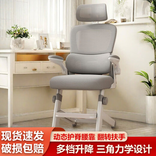 Xingkai Computer Learning Chair Ergonomic Chair Students' Homework Backrest Chair Office Study Chair BG832 Zhuangsheng Chair [Gray + 3D Headrest + Dynamic Waist Support]