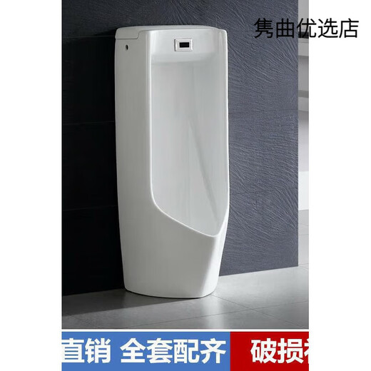 Renjuyi urinal 81987 induction integrated floor-standing USWN810BE AC