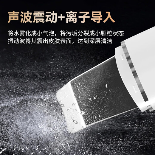 OES ultrasonic blackhead scraper, blackhead removal, acne cleaning instrument, skin peeling machine, household face and nose introduction beauty instrument to remove dead skin, birthday gift for girlfriend, LCD white, ultrasonic blackhead removal + EMS firming/cleansing, high frequency sound wave vibration + negative ion nutrition introduction