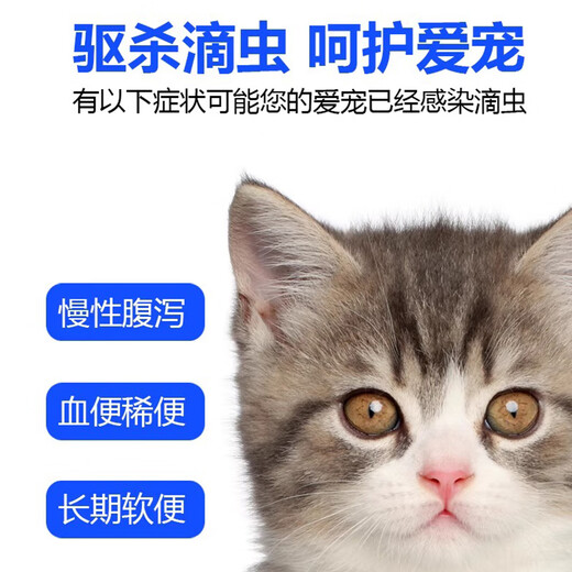 Paiwei Paiwei metronidazole tablets for cats with stomatitis, pet trichomoniasis, dog deworming, gum oral anti-inflammatory, ulcer redness and swelling medicine 6 tablets/1 plate without box SF Express