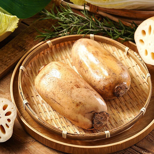 Fresh lotus root is crisp, tender and juicy. Seasonal fresh lotus root is sweet and cold as a snack. Premium lotus root - 2Jin Jin is equal to 0.5kg.