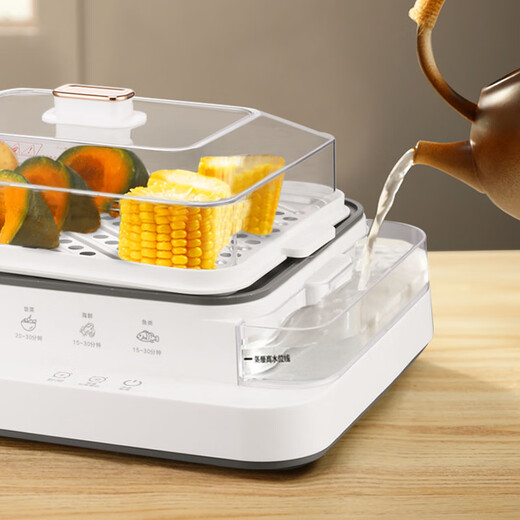 Royalstar electric steamer RS-ZG833G multi-function household electric steamer