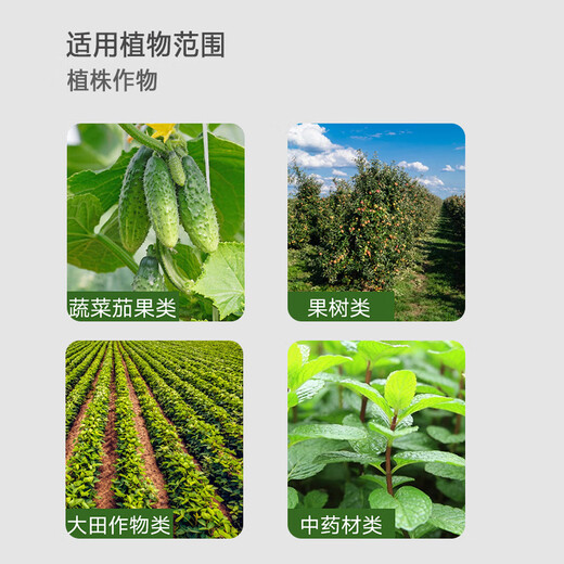 Zhonggu Nongkang (ZGNK) Universal Bacteria Clearing Fungicide Microbial Inoculant Crop Root Rot Leaf Spot Vegetable Plant General Genuine 500g 2 Bottles Genuine Bacteria Clearing