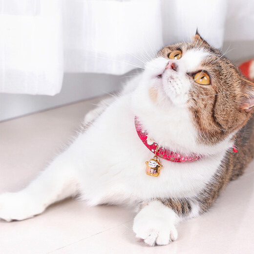 Pilot Cat Collar Cat Bell Cat Teddy Puppy Collar Bell Ring Neck Ring Red Flower S