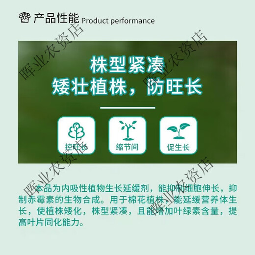 Guoguang Guoguang methylphenidate methicillin to support growth hormone grape tomato pepper watermelon strawberry cotton chlormequat enlargement agent 10g