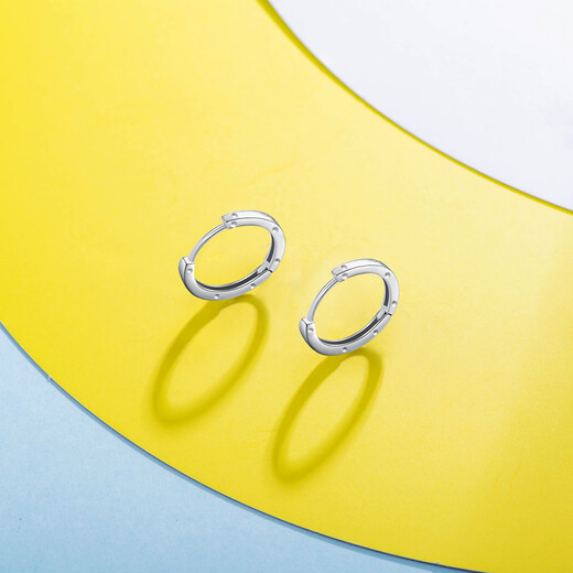Trendy Acer Minimalist Platinum Earrings Women's Earrings for Girlfriend's Birthday Gift Priced at RMB 100 per piece Single Model Approximately 0.95g