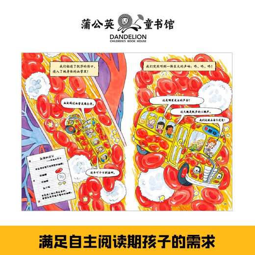 Jingdong Good Books Magic School Bus Bridge Book Edition (20 volumes in total) Bridge Book Popular Science Encyclopedia Children 4 years old 5 years old 6 years old 7 years old 8 years old summer homework summer transition from one to two summer vacation transition from primary school to junior high school