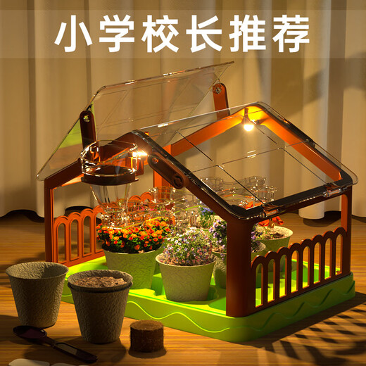 Regalos de cumpleaños para niños y niñas para niños 6 Estudiantes de la escuela primaria 8 Niñas 12 10 años Niñas Joyas prácticas 12 tipos de casas de plantación solar + sets de experimentos científicos