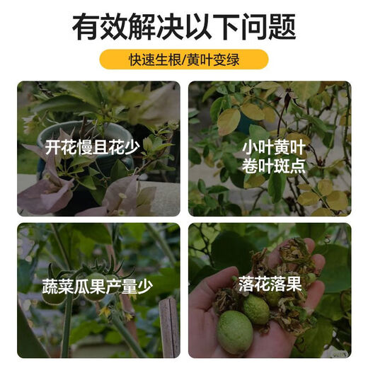 Quick Green 120 Foliar Fertilizer Chlorophyll Genuine Thick Leaf Vegetables Flowers Fruits and Vegetables Universal Water-Soluble Fertilizer Factory Direct Sales Powerful Quick Green 120 50g*50 Bags Affordable