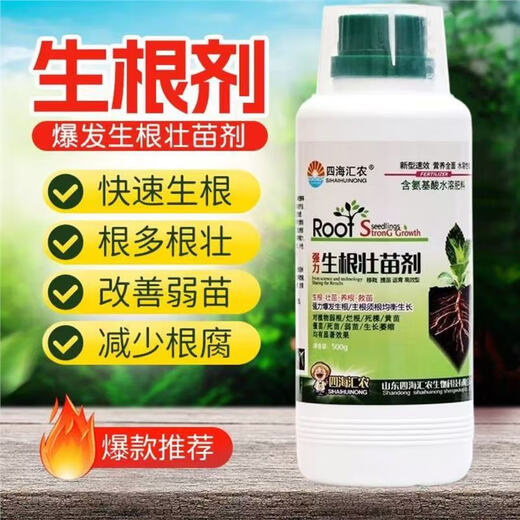 生根剂生根壮苗剂生根液植物通用生根粉生根扦插专用水溶肥叶面肥 500克