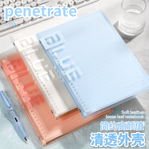 SUNWOOD B5/30 sheets of 60-page loose-leaf notebook, semi-transparent shell 10-hole detachable portable loose-leaf notebook, postgraduate entrance examination wrong question homework book, ice blue 1283