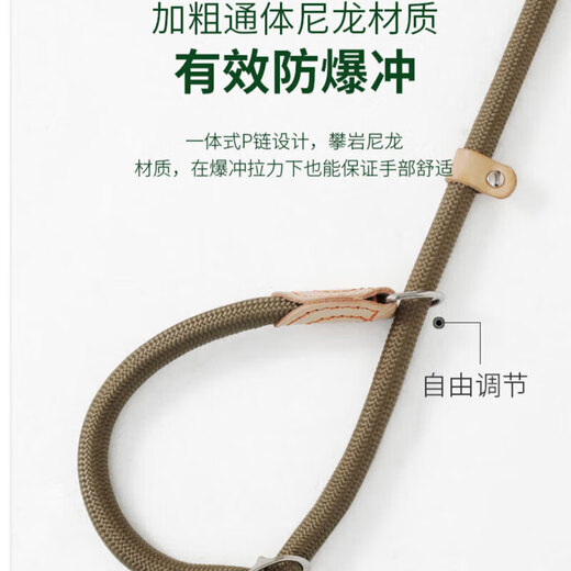 Gasco pet P chain size M dog leash dog leash collar small and medium-sized dogs dog out walking training dog belt