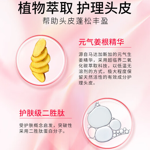 
Kashi Shampoo Travel Pack 80ml*3 Pack Black Diamond Key Source + Yuanqi Ginger + Energetic Fluid