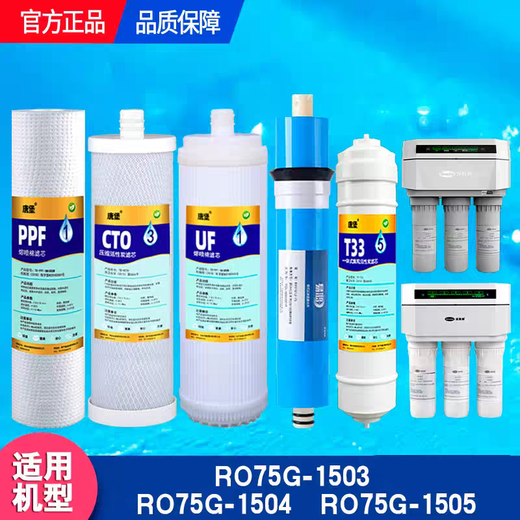 汉斯顿净水器原装正品滤芯D60滤芯1508/H6原厂07/06/04/p60/1503/1502 1503/1504全套滤芯