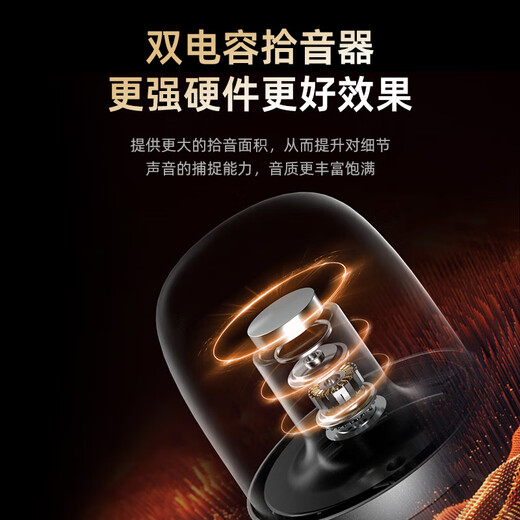 Taidu Official Genuine TSP201 Starcom Computer Microphone Desktop Laptop E-Sports Game Voice Live Broadcast Microphone Noise Reduction Condenser Microphone USB Plug Karaoke Online Class USB Version TSP207 Computer Special