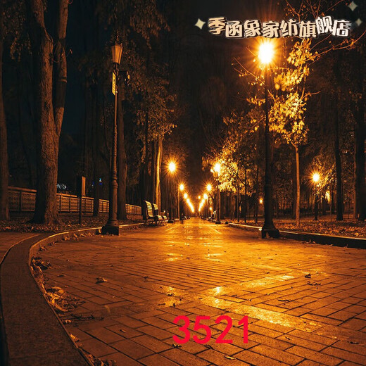 萝大搬（LUODABAN）主播直播间室外夜间风景路灯农村小路风景布3d立体网红直播背景布 1.5米宽2米高 109