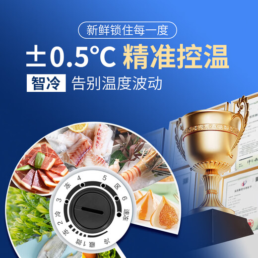 海力雪冷冻冰柜商用大容量卧式家用冷藏冷冻两用单温双温展示柜保鲜柜雪糕柜 【电脑控温688单温】长1.76m