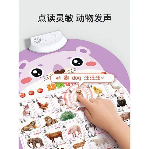 Audio Early Education Hanging Chart Baby Klicken Sie Klicken Sie auf Lesen und Lesen von Alphabetisierungsbüchern und lernen Sie das Sprechen und Aufhängen von Malaufklebern Kinderspielzeug 2676 Alphabetisierungstabelle im zweiten Band der ersten Klasse 406 Wörter