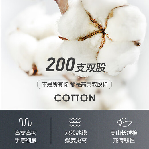 Shanshan 200 count DP no-iron long-sleeved white shirt men's four-season high-end business solid color cotton anti-wrinkle shirt