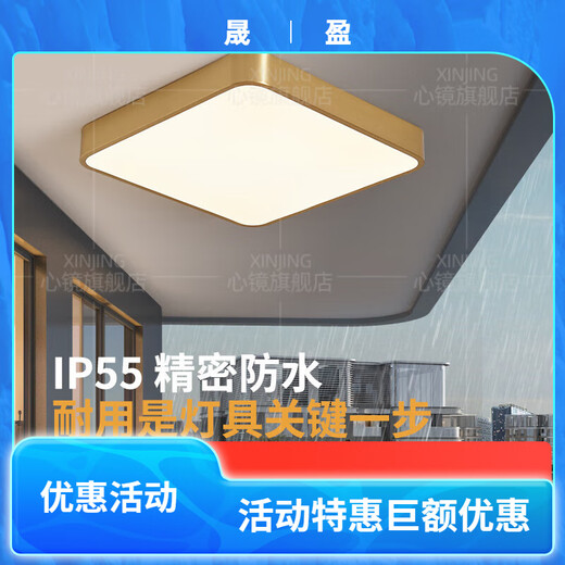 
Heart mirror full copper outdoor ceiling light villa ultra-thin entrance door light corridor aisle balcony light terrace mosquito-proof courtyard light X3893-400*600/rectangular