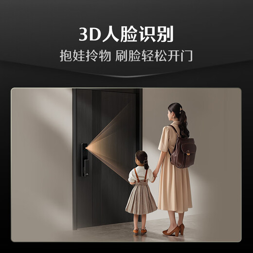 德施曼（DESMAN）智能门锁3D人脸识别掌静脉可视猫眼大屏指纹密码电子锁 小嘀 Q2FV