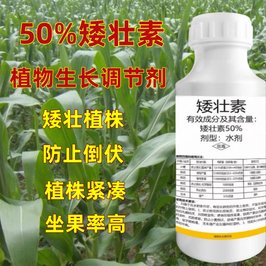 Chlormequat prevents plant health and growth control agent, plant flower dwarf hormone, sunflower succulent special dwarf plant, 50g bottle
