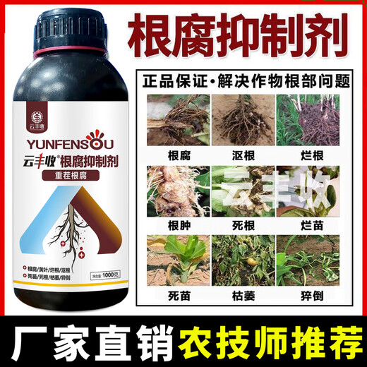 云丰收根腐抑制剂根腐克星黄叶烂根猝倒死棵茎基腐壮根活化土壤厂家直销 1大瓶*1000克+量杯+假一赔十
