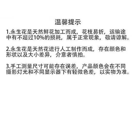 满天星干花花束永生花材料 紫色