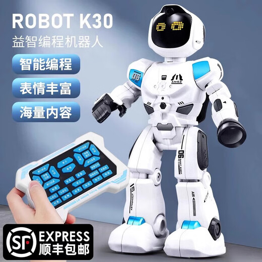 Miss Dolphin Toys and Escort Robot Children Programación inteligente Educación temprana Dancing Girls Toys Electric Toys Boy Birthday Programming Intelligent Robot-Tech White