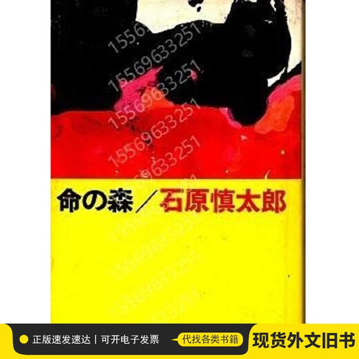 Minmori ECZQ Shintaro Shintaro