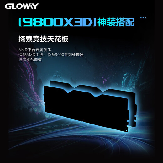 Gloway 32GB (16GBx2) DDR5 6000 desktop memory stick Longwu RGB light strip Hynix A-die CL28 starry sky black partially compatible