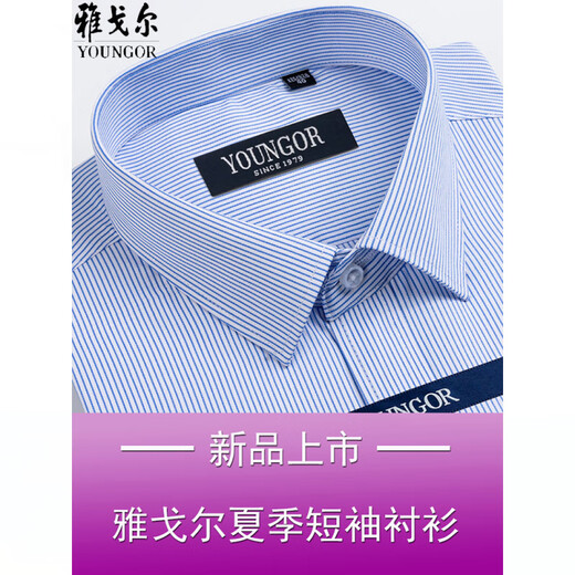 CEO雅戈尔短袖衬衫男士夏季商务休闲职业正装棉免烫中年大码条纹衬衣 短袖DX6624 38