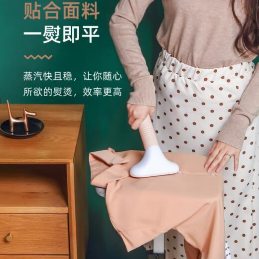 蒸汽挂烫机家用电熨斗小型烫衣机挂烫平烫一体熨烫机 HP688一旗舰款双杆标配款