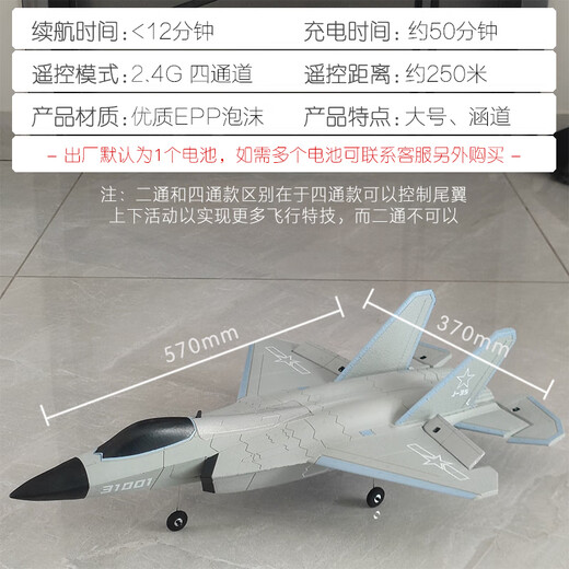 Tema Tongtong remote control fighter J-20 model aircraft model aircraft can fly fixed-wing aircraft toy children boy birthday gift 12 minutes - large J-35 four-way stunt 31 models