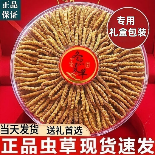 冬虫夏草礼盒装精品藏区虫草当天发货送礼首选正宗雪域冬虫夏草 西藏那曲高海拔虫草4条1克100条