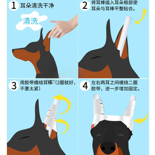 OUOETY West Highland Ear Erection Special Glue Dog Ear Erection Artifact Puppy Ear Erection Stick Assistant 10 Ear Sticks + 3 Rolls of Tape