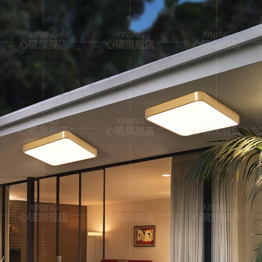 Пуцианский Quantong Outdoor Tister Light Villa Ультратонкая входная дверь легкая коридор проход балкон легкая терраса комара-ниспа