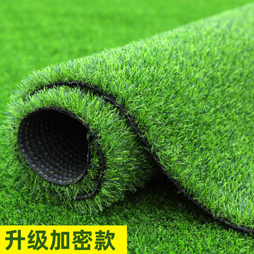 Simulated lawn carpet, artificial artificial turf, green outdoor decoration, fake grass plastic mat, balcony kindergarten, 2cm thickened spring grass (1m wide*6m long)