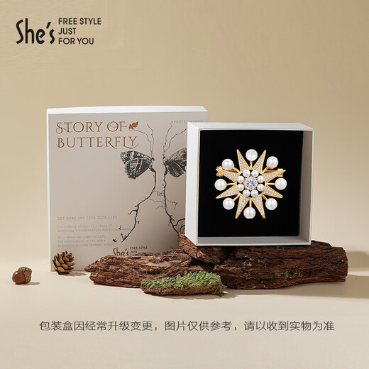 She s Qianzi Van Gogh Starry Sky Eight-pointed Star Light Luxury Brooch Fashion Women's Jacket Corsage Birthday Gift for Girlfriend