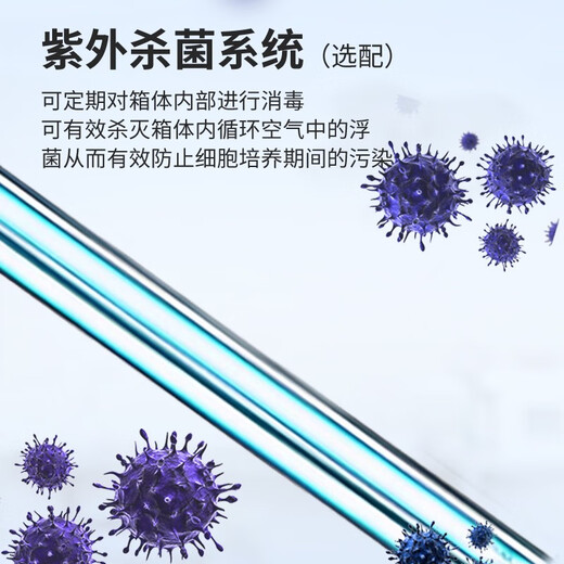 一恒上海电热恒温培养箱种子催芽箱微生物培养箱实验室细菌培养箱 DHP-9272型