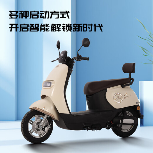 FOREVER FOREVER electric motorcycle, unisex two-wheeled battery car, 72V high-speed long-distance running king, high-power, long-range 1200W motor, beige, 1200W large disc brake + NFC - backrest version, no battery - no gifts - no support for lithium batteries
