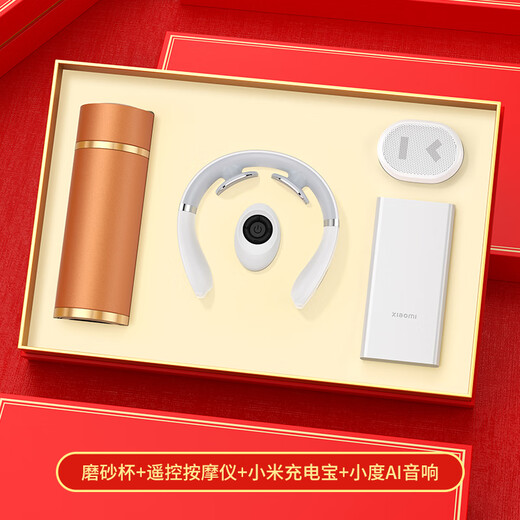 家之禮伴手礼商务礼品定制实用高档小米套装党员纪念品企业周年庆送客户 金-磨砂杯+音响系列一 500ml