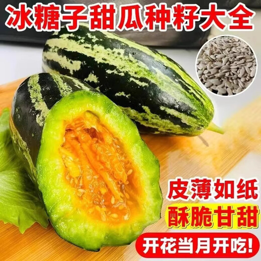 Bingtangzi melon sweet toothless melon seeds cantaloupe seeds four seasons garden spring and autumn fruits and vegetables melon seeds G Bingtangzi melon 4 packs + fertilizer