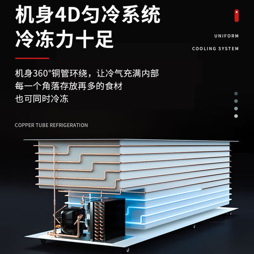 白雪稚乐大容量冰箱冷柜卧式冷藏家用双温冷冻正品两用小型商用 1098L2280*900*870