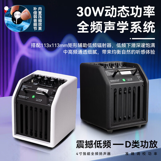 JOYO Electric Bass Speaker BA-30 Portable Electric Bass Speaker OTG Live Recording Bluetooth Play and Sing Bass Speaker SF BA-30 White + Cable + Gift