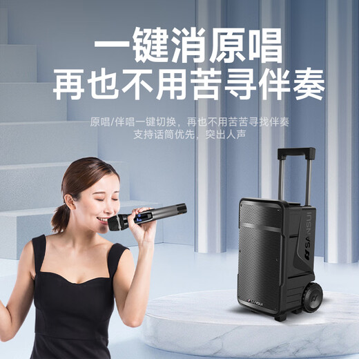 SANSUI A08 outdoor karaoke dedicated audio high-power heavy bass square dance smart speaker multimedia conference with microphone 8-inch electric acoustic guitar folk instrument speaker